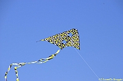 32 FESTIVAL CERVIA 2012 - 178